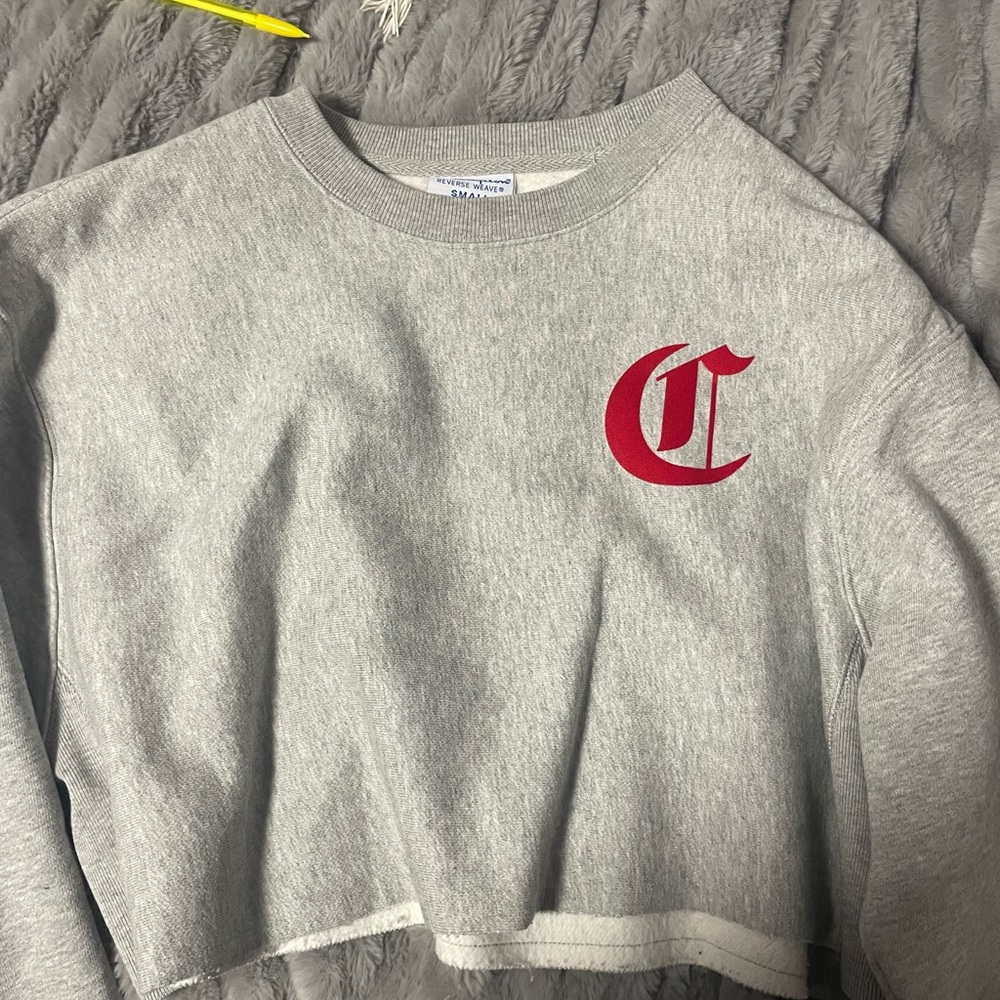 champion cropped hoodie